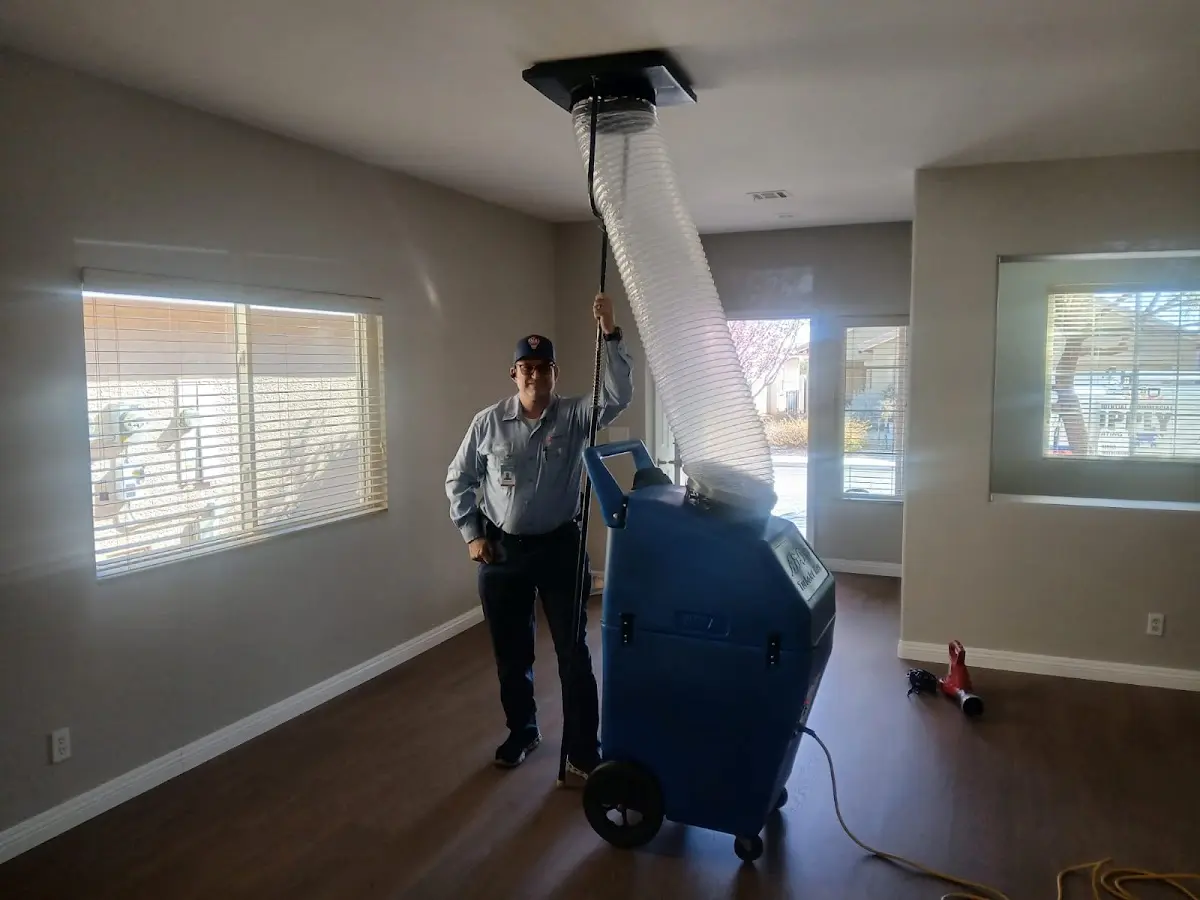 Professional Dryer Vent Cleaning work inside a Alsip home
